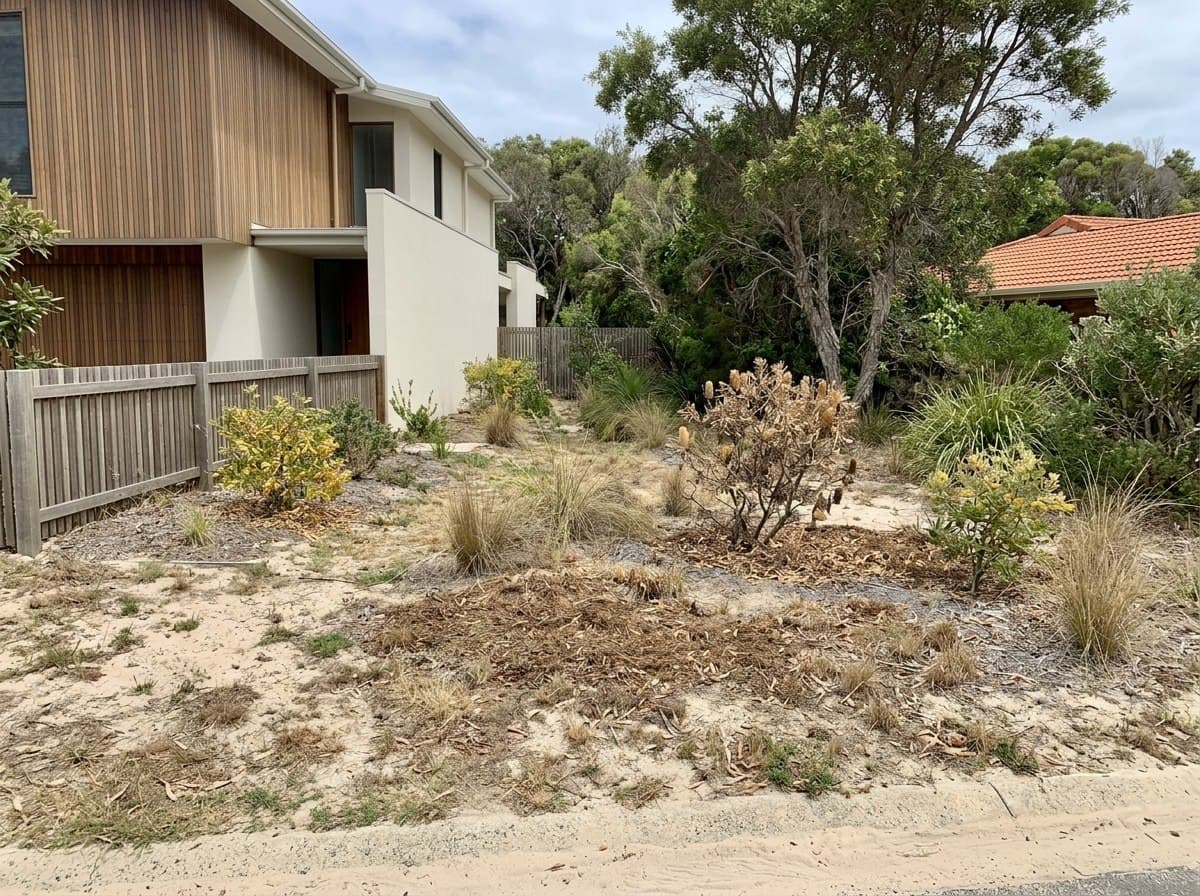 Wind burnt coastal garden bed at Peregian before rebuild